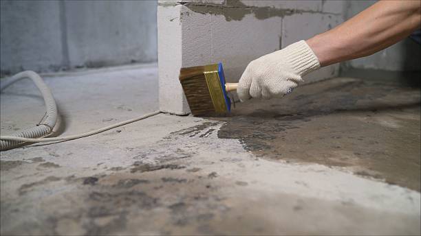SJ Waterproofing Pros Emergency Waterproofing coverage map for Cygnet, OH and surrounding area